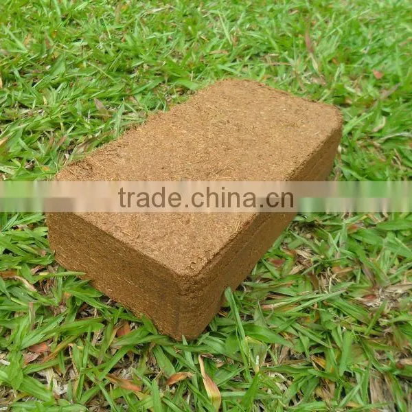 Coco Briquettes
