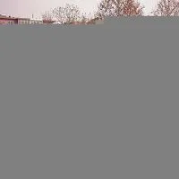 Sell Light Truck (5MT)