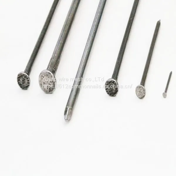 Common Nail/ Iron Nail/ Wire Nails photo-4