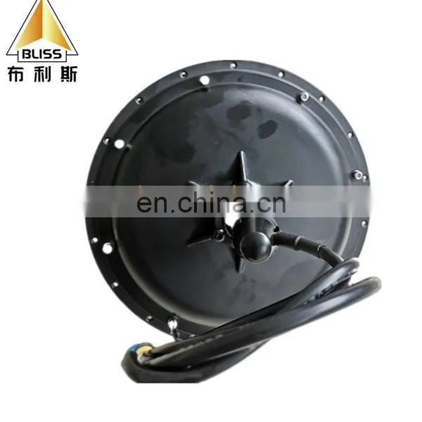 Manufacturers Supply 10 Inch 12wheel Hub Motor Inch 500W-3KW205 Series High Power Wheel Electric Car Electric Motor photo-7