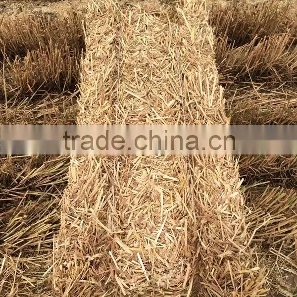 Runshine Since 1989 9YFQ1.9 Square Baler photo-6