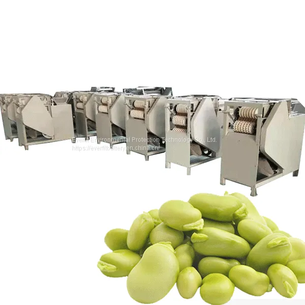Broad Bean Peeling Machine | Industrial Automatic Peanut Peeler/ Broad Bean Peeling Machine /Wet Peanut Peeling Machine photo-4