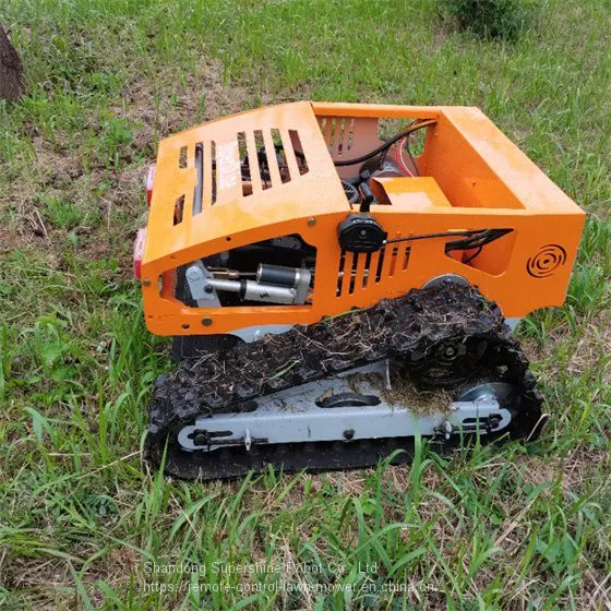 Track Mower, China Remote Mower for Sale Price, R/c Lawn Mower for Sale photo-3