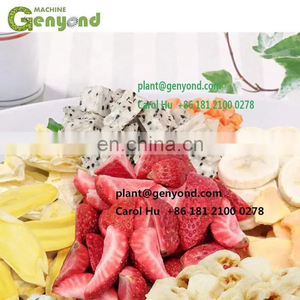 5 Square Meters Small Fruit Continuous Vacuum Freeze Dryer photo-5