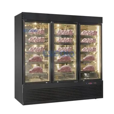 ESK-1860B Commercial Glass Door Dry Age Fridge