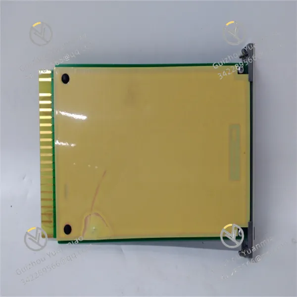 XV9738a HEIE450617R1 Analog Input Module photo-2