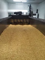 Malting Packing Production Line With Steeping Tank , Germinating Kilning Box photo-3