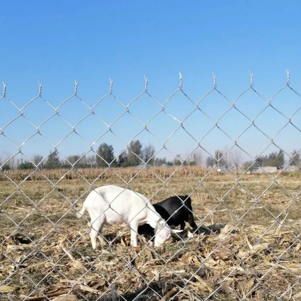 Chain Link Fence with Mill Test Report and Standard Compliant Materials