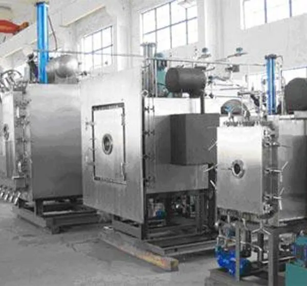 100-3000kg Dry Freezes Dried Milk Tablets Freezer Dryer Industrial Vacuum Freeze Drying Machine Dryer for Food Fruit photo-2