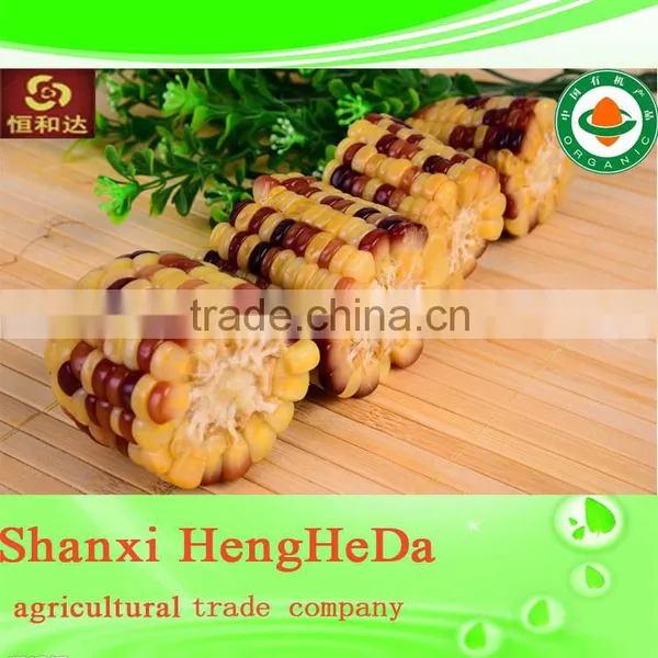 National Flag Perfect Corn photo-5