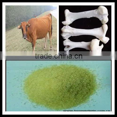 Bovine Bone Made in China
