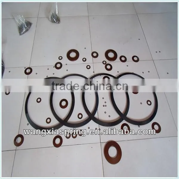 Stainless Steel/ Disc Spring/Washer Spring photo-2
