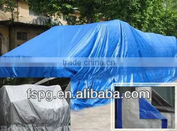 Ordinary Plastic Woven Tent