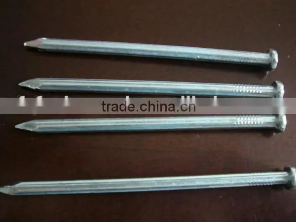 Good Quality Nails and Low Price Concrete Nails/ Steel Nails From China Golden Supplier photo-5