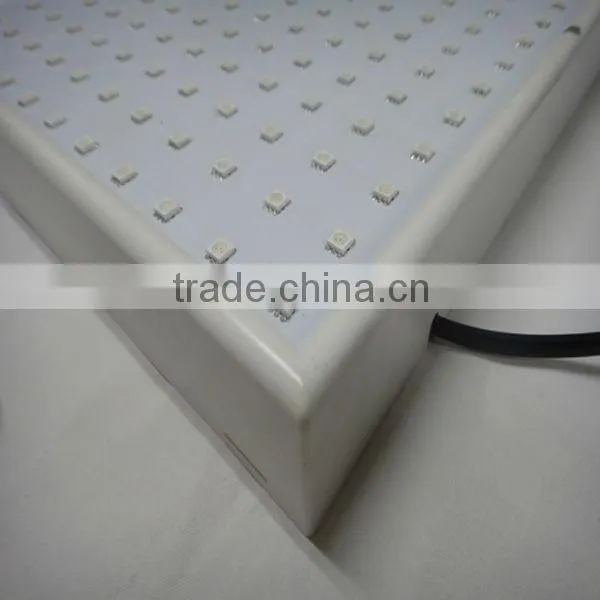 28w DIY Mini Led Grow Lighting photo-5