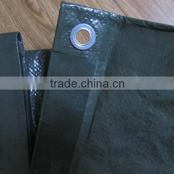 Birthday Tarpaulin Printing Size for PE Tarpaulin Buyer photo-2