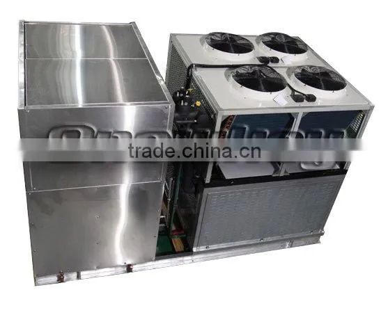 Plate Ice Maker Machine