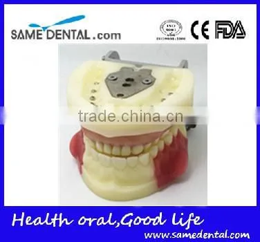 Dental Eduction Assistant No. DEA-04 photo-3