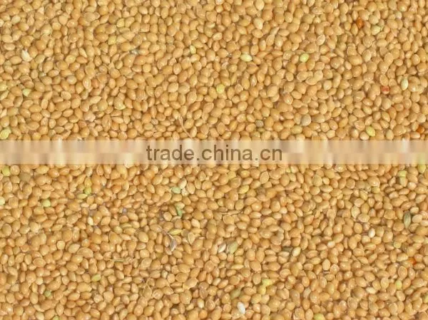 Millet