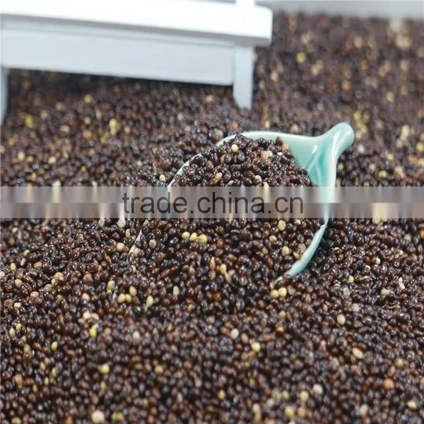 New Crop 2016 Black Broomcorn Millet Black Millet photo-3