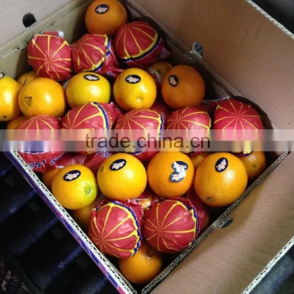Avilable MOQ of Oranges and Lemons @ Forwell photo-2