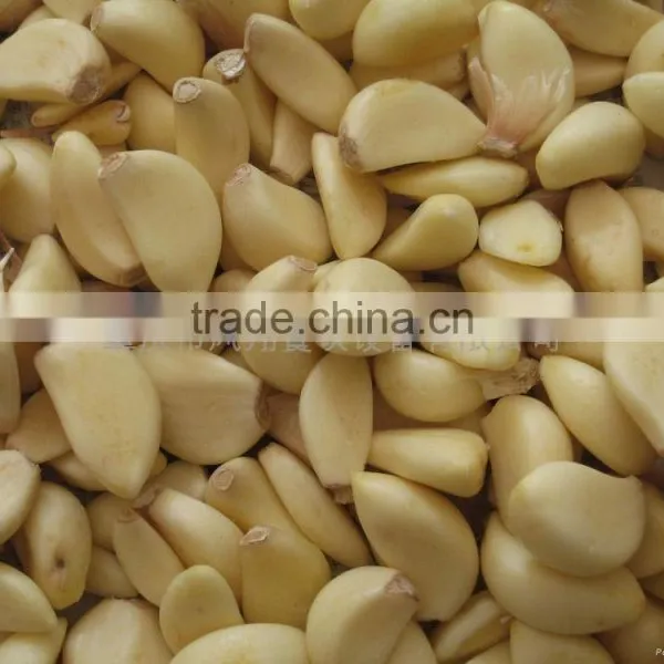 FX-128 Garlic Peeler/Shallot Peeling Machine With High Efficienty and CE Approved photo-2