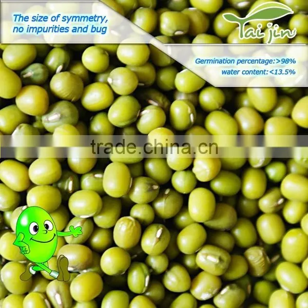 2015 Chinese New Crop Green Mung Bean,Green Mung Bean Seed photo-4