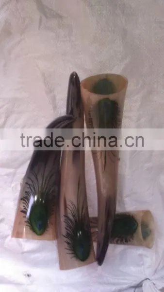 Peacock Print Drinking Horn