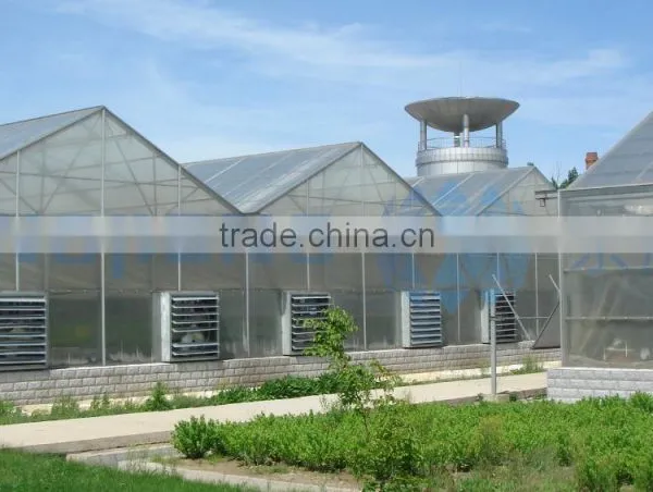 Large Roof Span PC Sheet Greenhouse photo-2