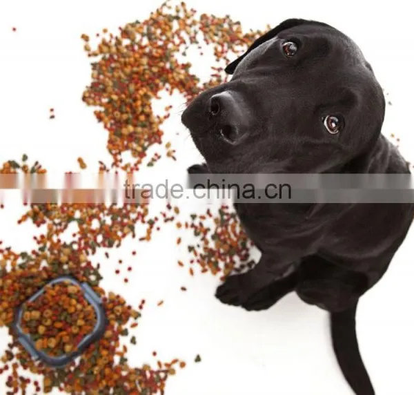 Pet Food Process Line photo-3