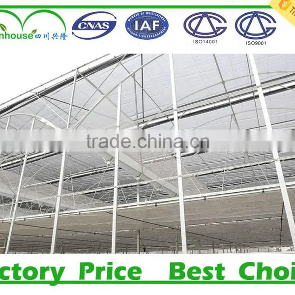 Tubo Galvanized Para Invernaderos China Greenhouse for Sale photo-5