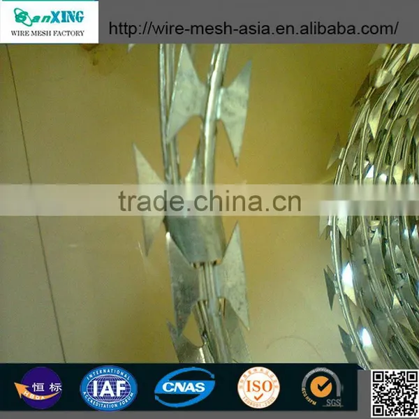 Galvanized Surface Treatment and Stainless Steel Wire Material Barbed Wire Price per Roll photo-2