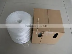 Tomato Twine for Florida Weave Cultivation photo-6