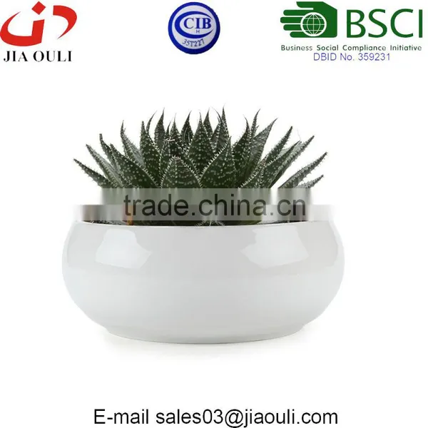 Decorative Display Bowl Round White/green Ceramic Succulent Plant Flower Planter Pot photo-3
