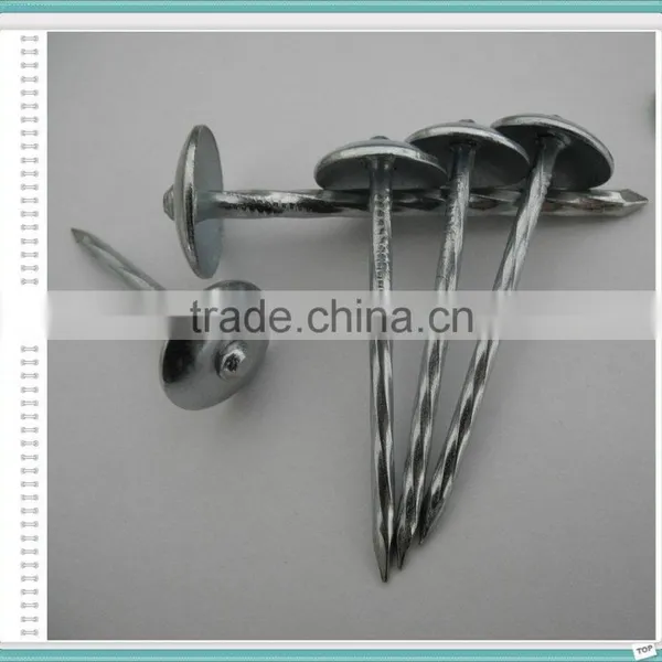 Corrugated Roofing Nails Manufacturers in China photo-5