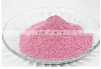 Fruit Flavoured Drink During Promotion China Supplier photo-5