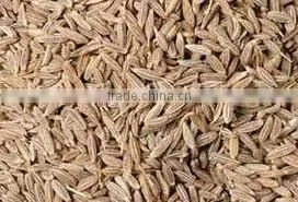 Cumin Seeds photo-3