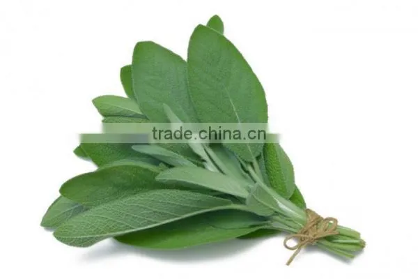 Sage Leaves Dry photo-2