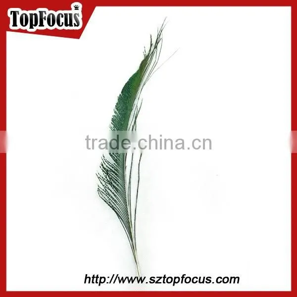 Cheap Down Raw Material Green Natural Peacock Feather for Sale photo-6