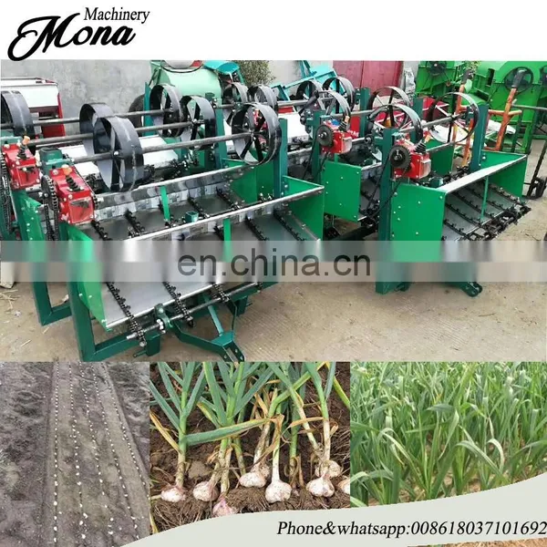 Hot Selling 6 Row Garlic Planter/tractor Driven Garlic Seeder With Wholesale Price photo-3