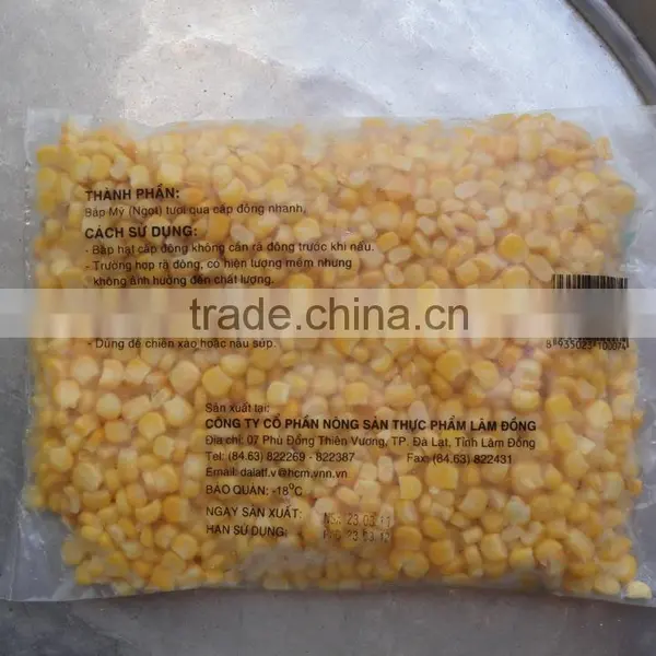 Vietnam Frozen Yellow Sweet Corn Seed photo-2