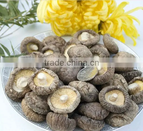 Edible Fungi Mushrooms ,Dried Shiitake Mushroom, Dried Mushrooms