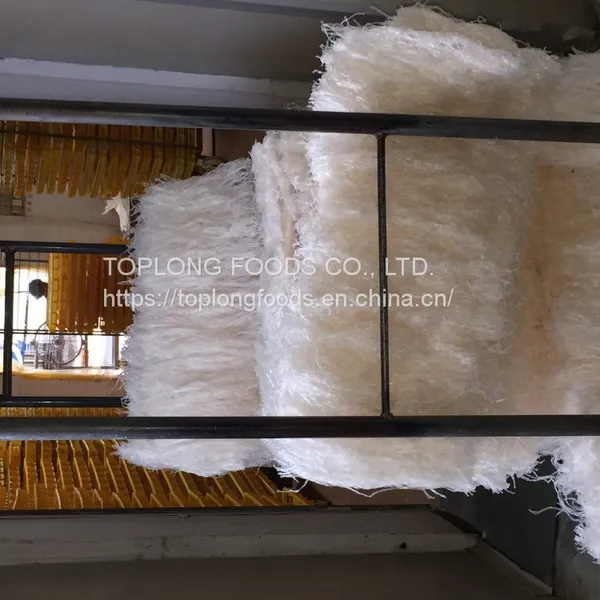 AGAR-AGAR STRIPS photo-5