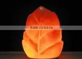 Flower Shaped Lamp Varieties With Colors Peerless