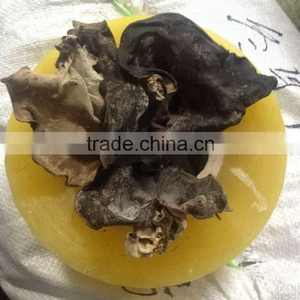 White Back Black Fungus With Lower Price photo-4