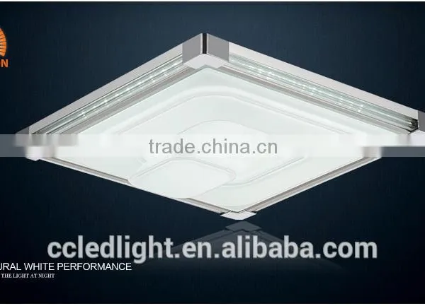 Hot Sales Art Ceiling Mounted Light 48w China Ceiling Lamp photo-6