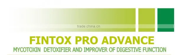FINTOX PRO ADVANCE