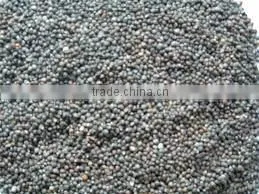 Perilla Seeds