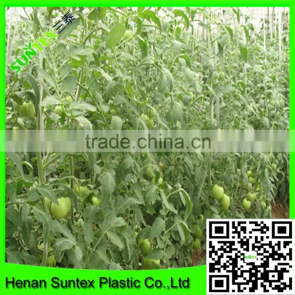 Heavy Duty Long-lasting Flexible Growing Tomatoes Support Net photo-6