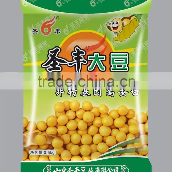 Soybean photo-4